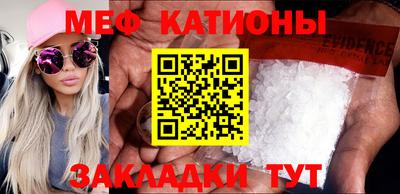 прущие грибы Шелехов