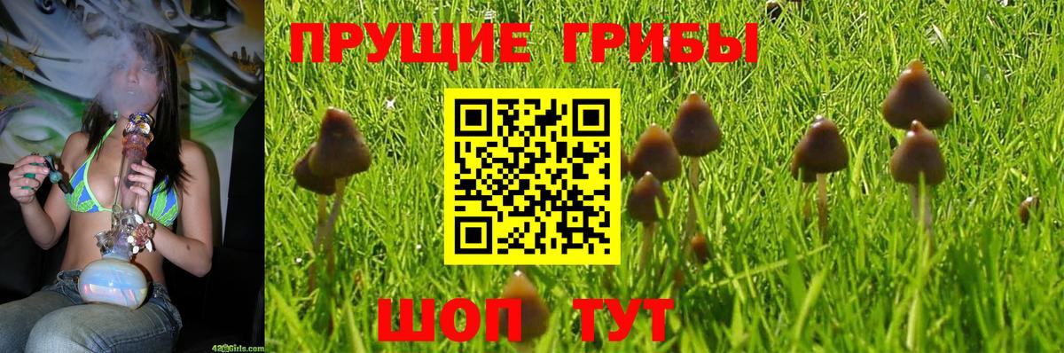 Галлюциногенные грибы ЛСД  Вход с VPN  Киреевск 