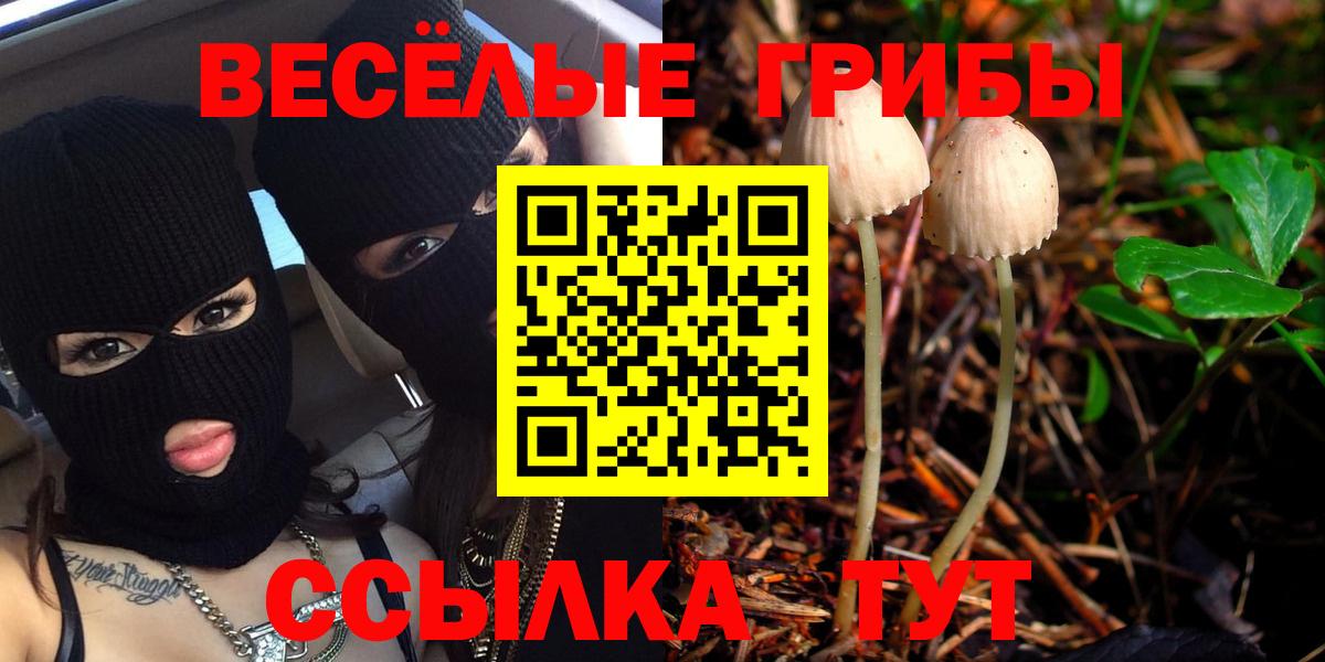 Галлюциногенные грибы Cubensis Киреевск