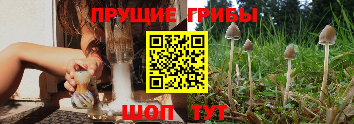 Псилоцибиновые грибы ЛСД  Киреевск 