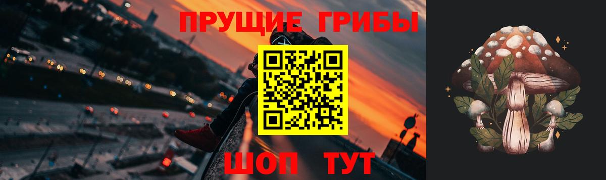 Псилоцибиновые грибы Psilocybe Киреевск